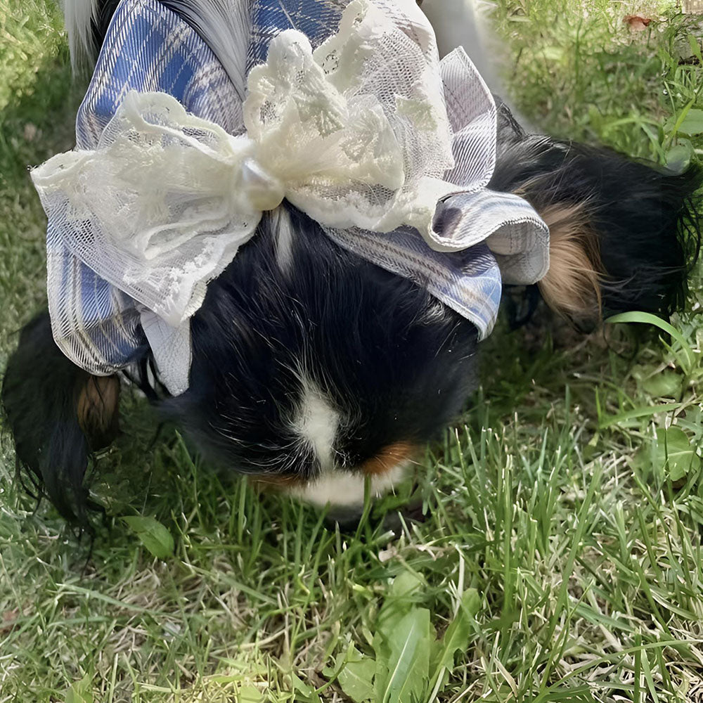 Cute Dog Headwear/Hair Ties To Dress Up Big-eared Dogs with Bow Series
