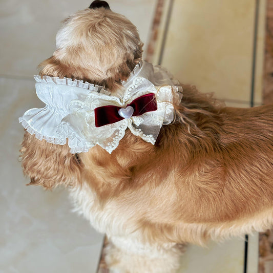 Cute Dog Headwear/Hair Ties To Dress Up Big-eared Dogs with Bow Series