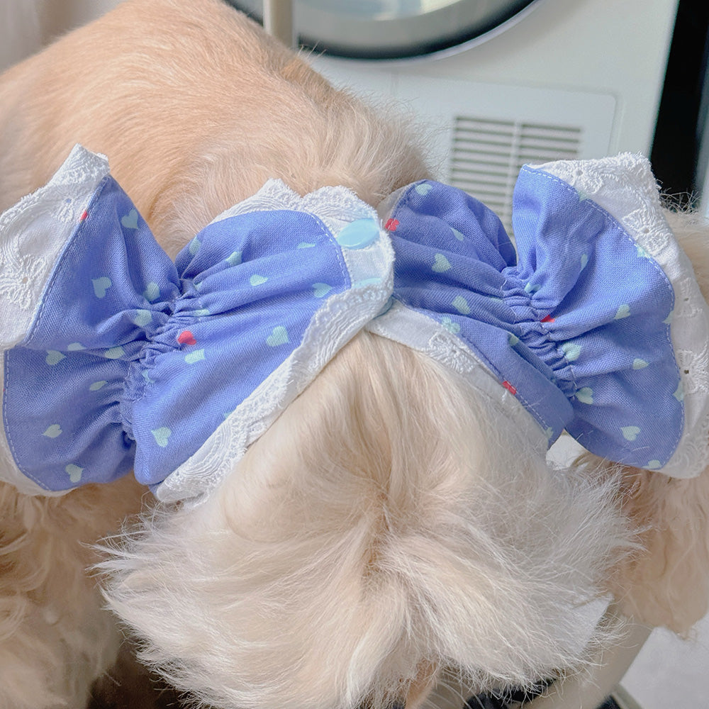 Collection Of Wide-brimmed Dog Headwear For Beautiful Photos