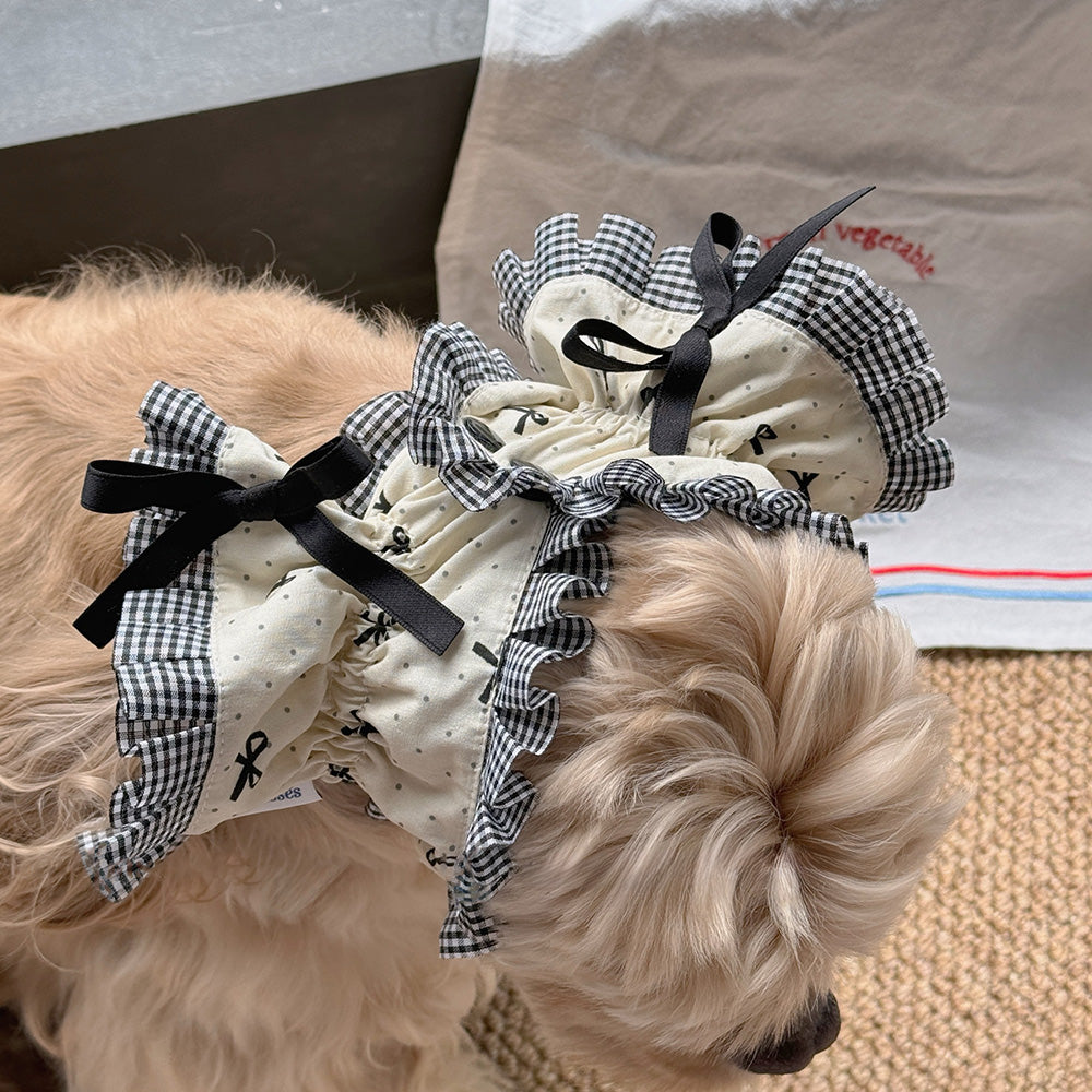 Collection Of Wide-brimmed Dog Headwear For Beautiful Photos