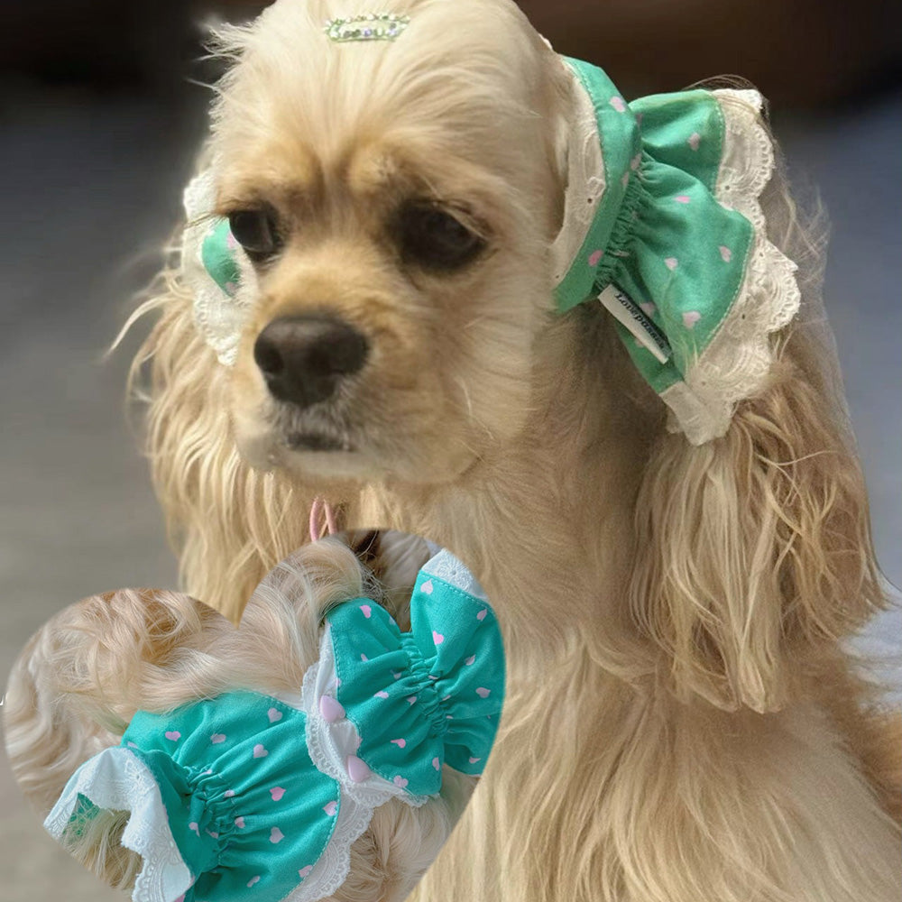 Collection Of Wide-brimmed Dog Headwear For Beautiful Photos