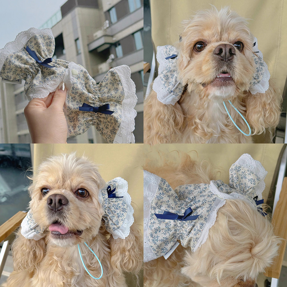 Collection Of Wide-brimmed Dog Headwear For Beautiful Photos