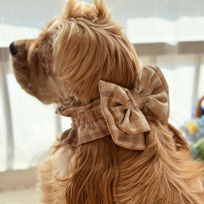 Bow Snood for Long Eared Dogs