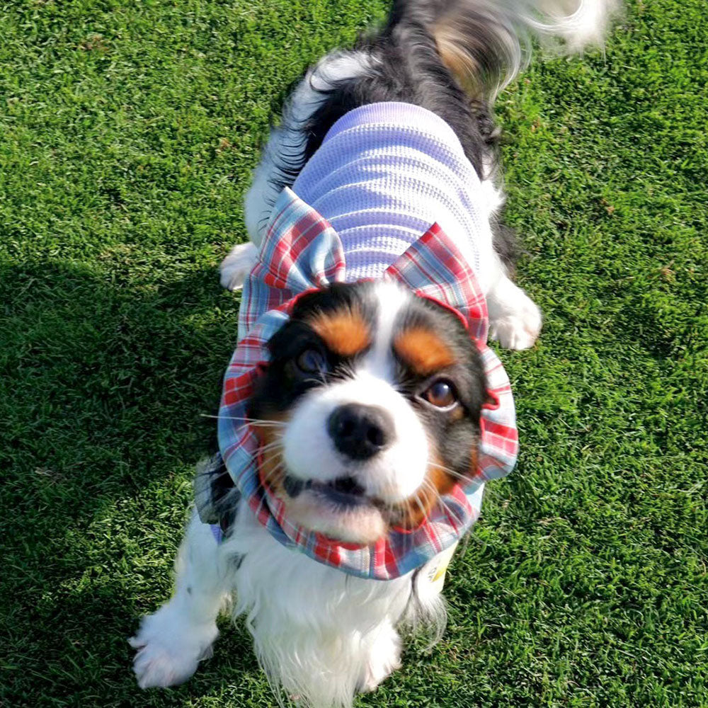 Dog Snoods with Big Bow for Big-Eared Dogs – Autumn & Winter Collection