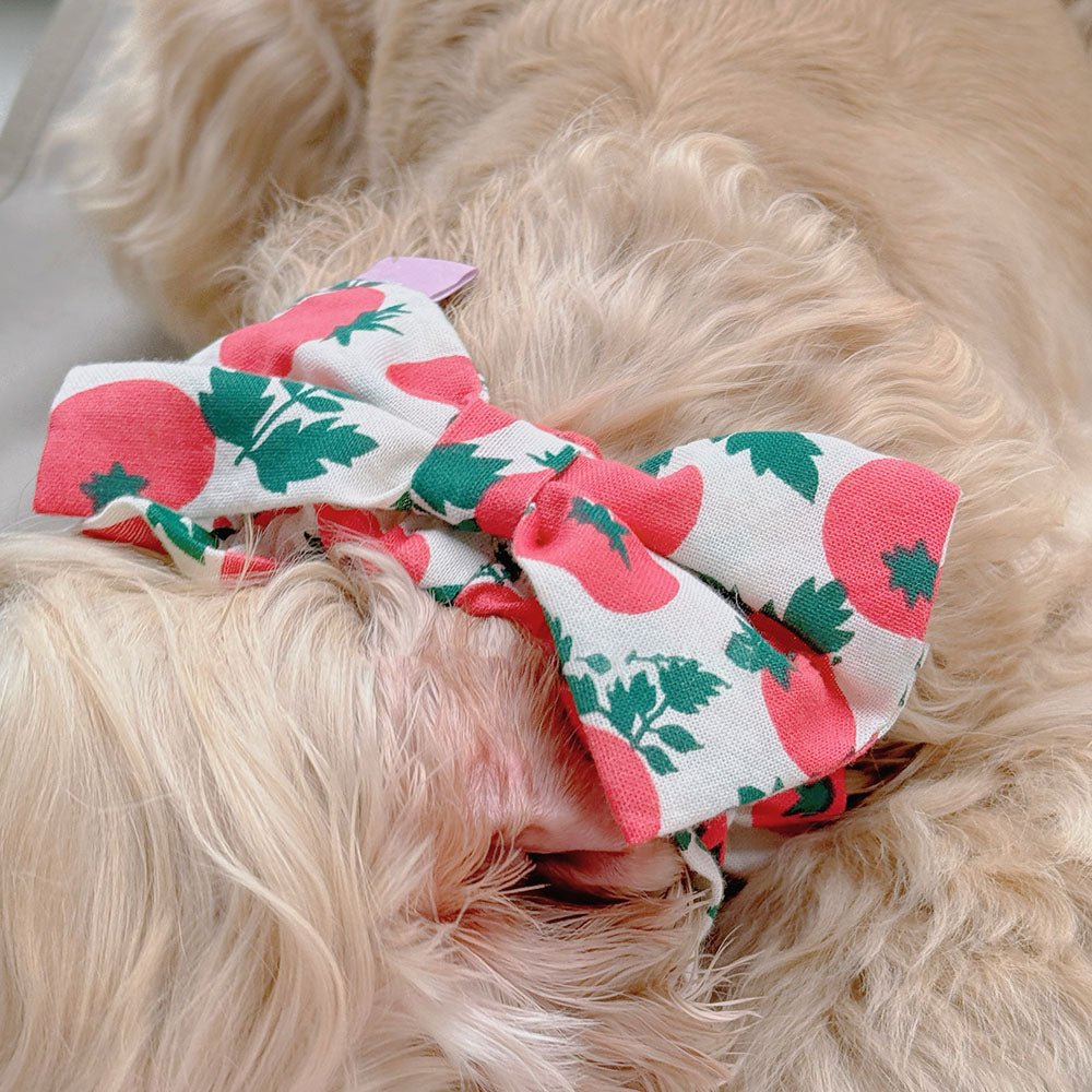 Handmade Dog Snoods Bow Headband For Big Ears Dogs