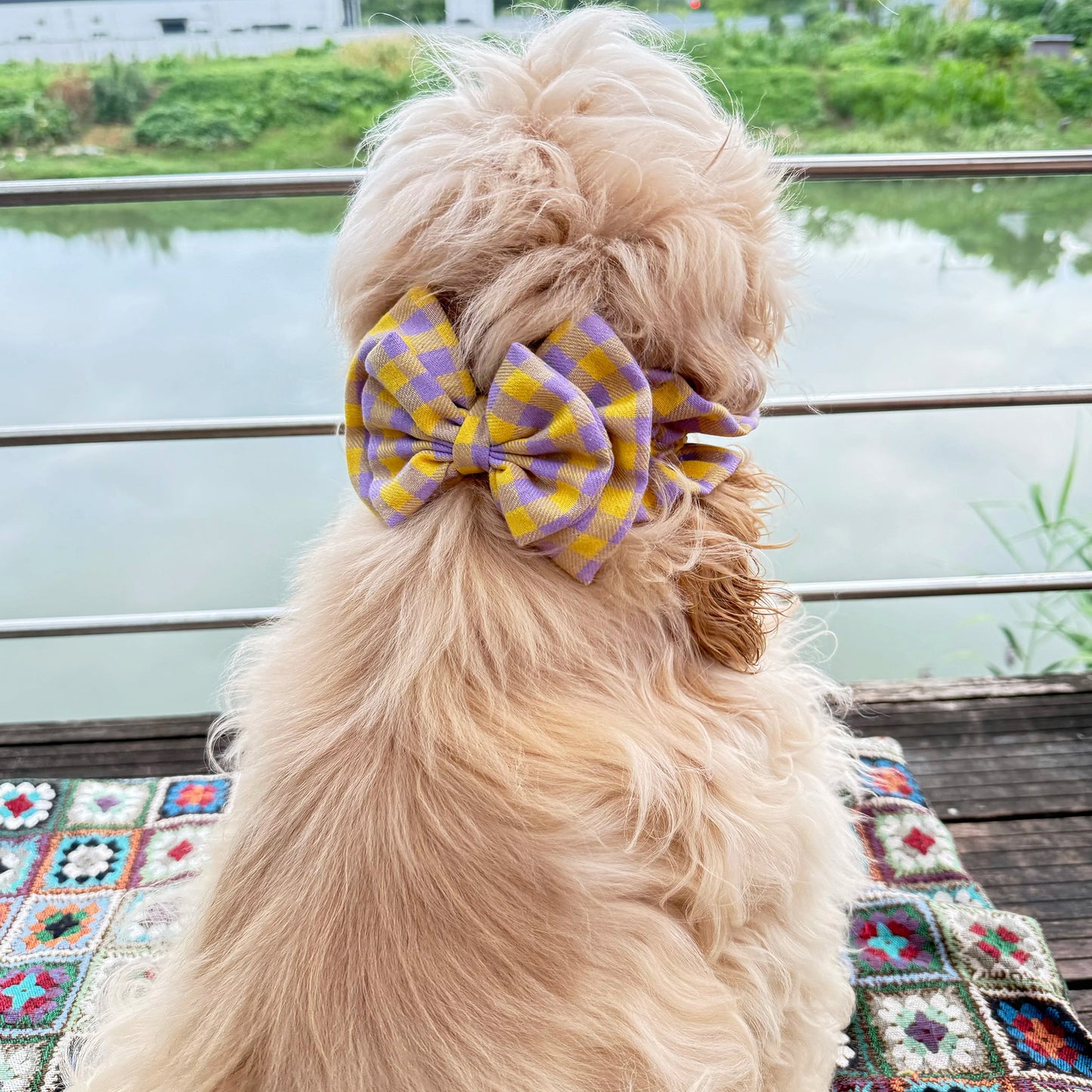 Bow Snood for Long Eared Dogs