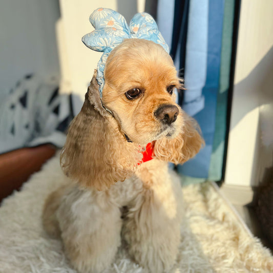 Big Bow Series Dog snoods