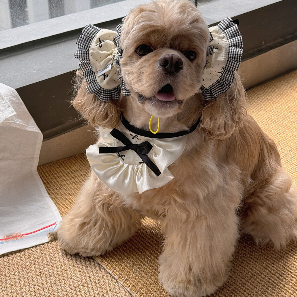 Collection Of Wide-brimmed  Dog Headwear For Beautiful Photos