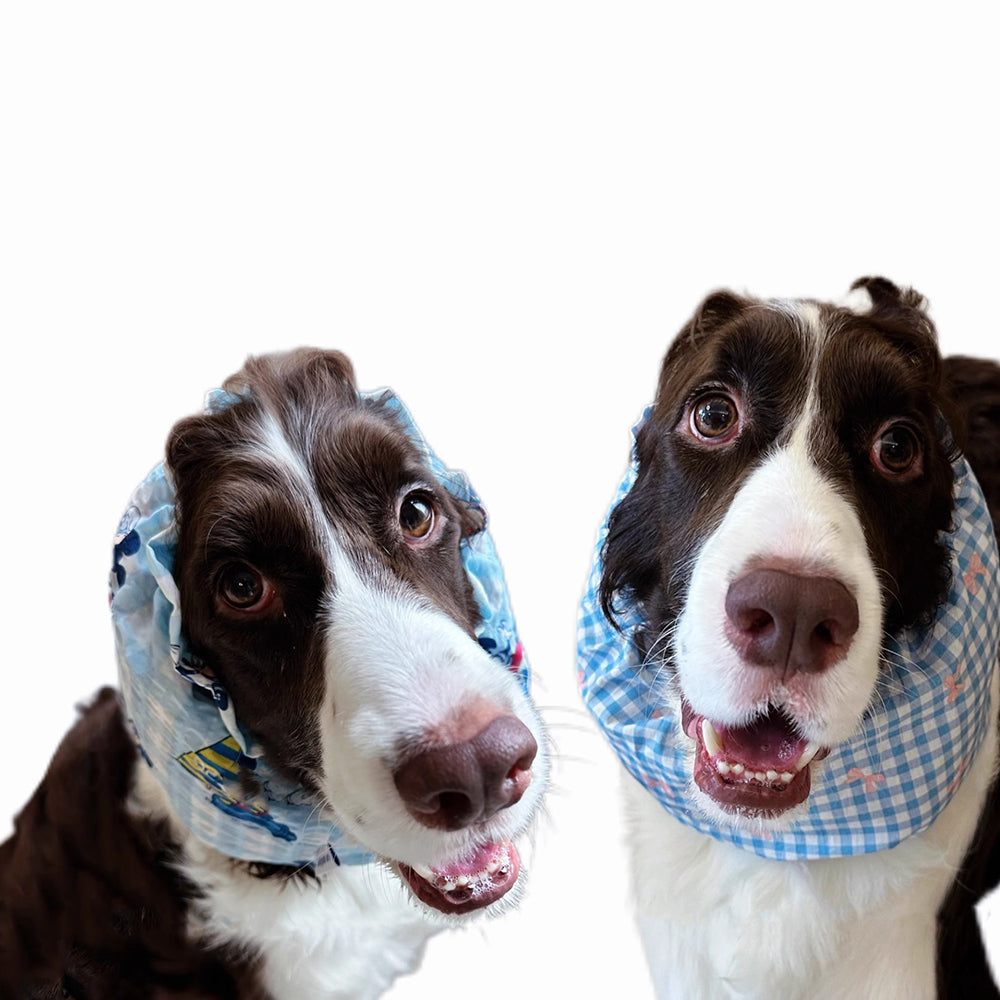 Springer Collie Dog Snoods, Exclusive for Big-headed Dogs