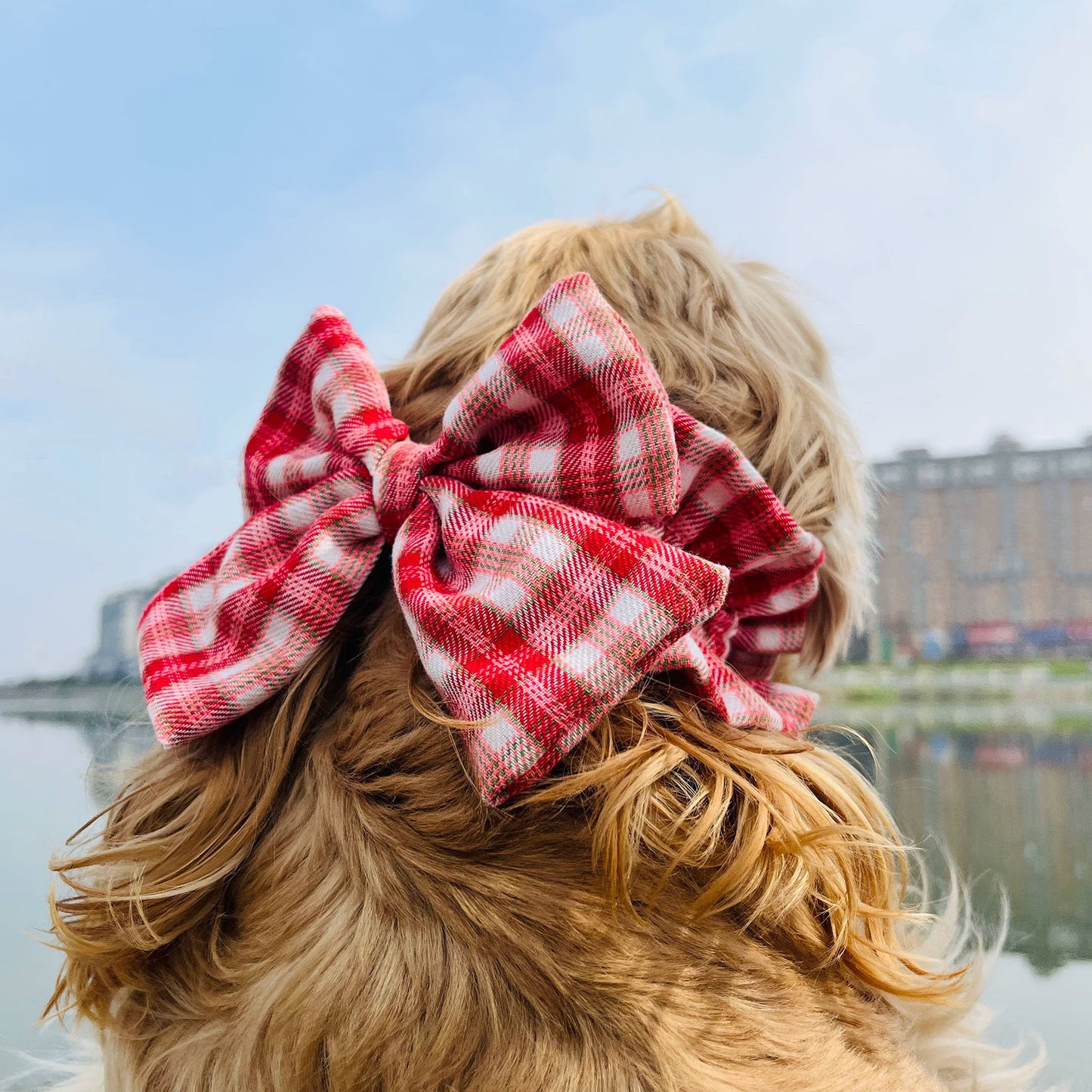 Bow Snood for Long Eared Dogs