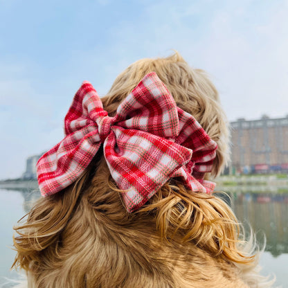 Bow Snood for Long Eared Dogs