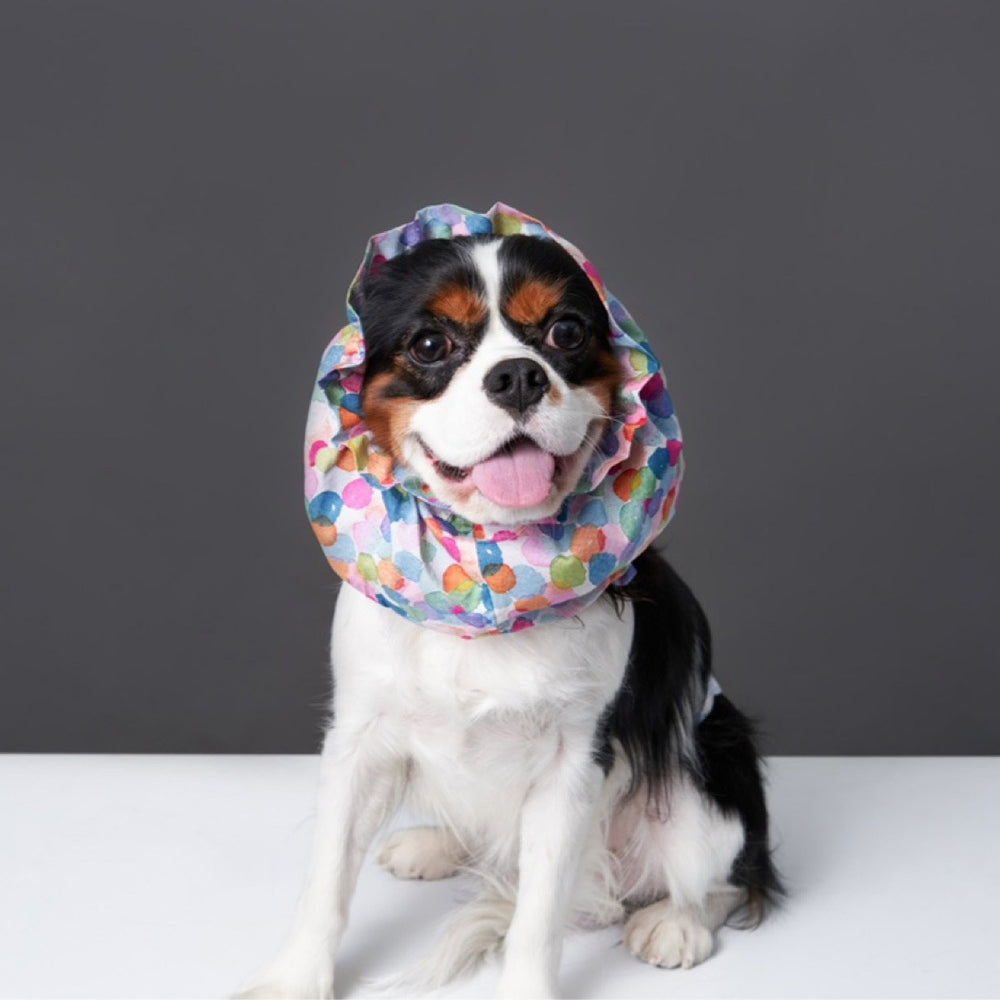 Dog Snoods for Big-eared Dogs Pure Cotton Series