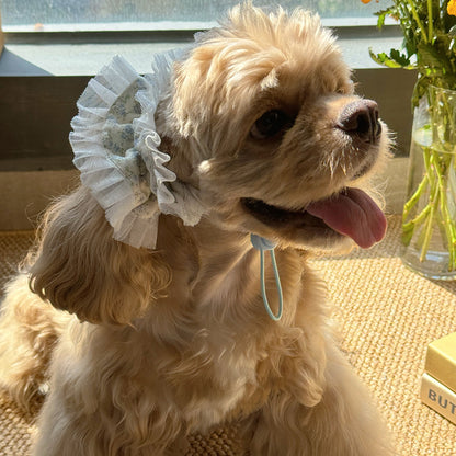 Collection Of Wide-brimmed  Dog Headwear For Beautiful Photos