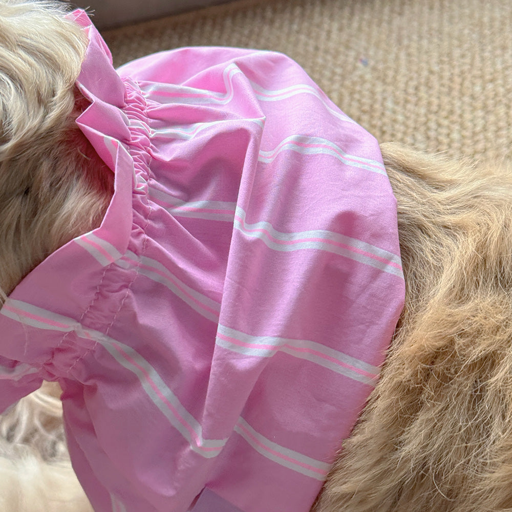 Handmade Dog Snoods Are Designed To Cover The Entire Ear