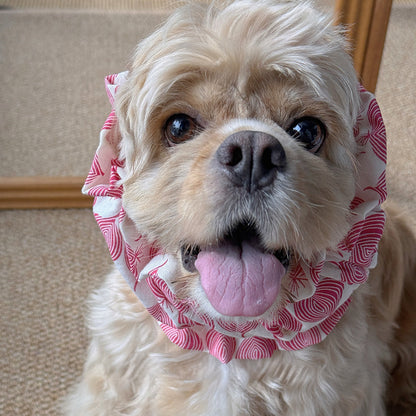 Handmade Dog Snoods Are Designed To Cover The Entire Ear