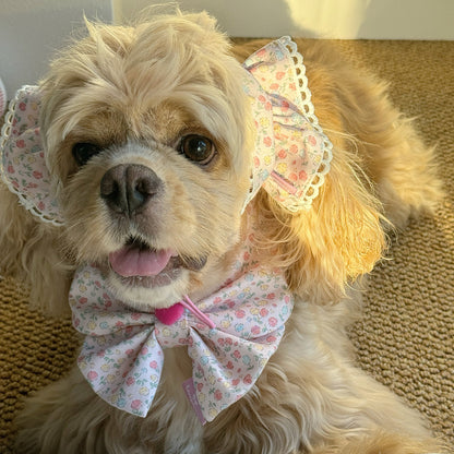 Dog Headwear And Saliva Napkin Set To Dress Up Big Eared Dogs