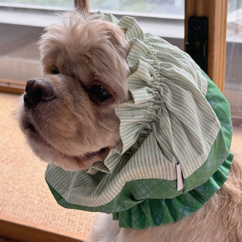 Handmade Dog Snoods Are Designed To Cover The Entire Ear