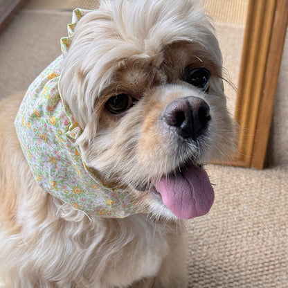 Handmade Dog Snoods Are Designed To Cover The Entire Ear